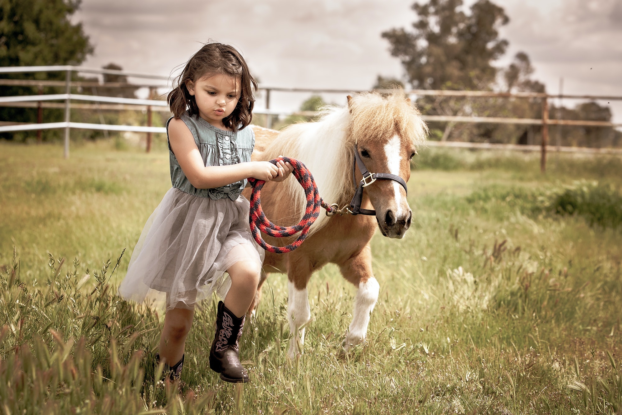 Best Friends. A girl and her pony getting exercise.