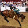 Westgate Rodeo Show image
